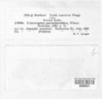 Image Associated With the Occurence